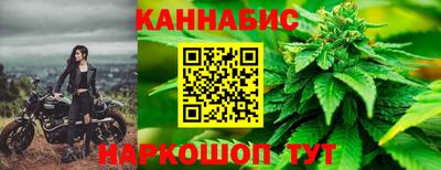 шишки Краснознаменск