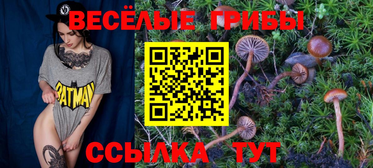 Псилоцибиновые грибы мухоморы  Вход с VPN  Чернушка 