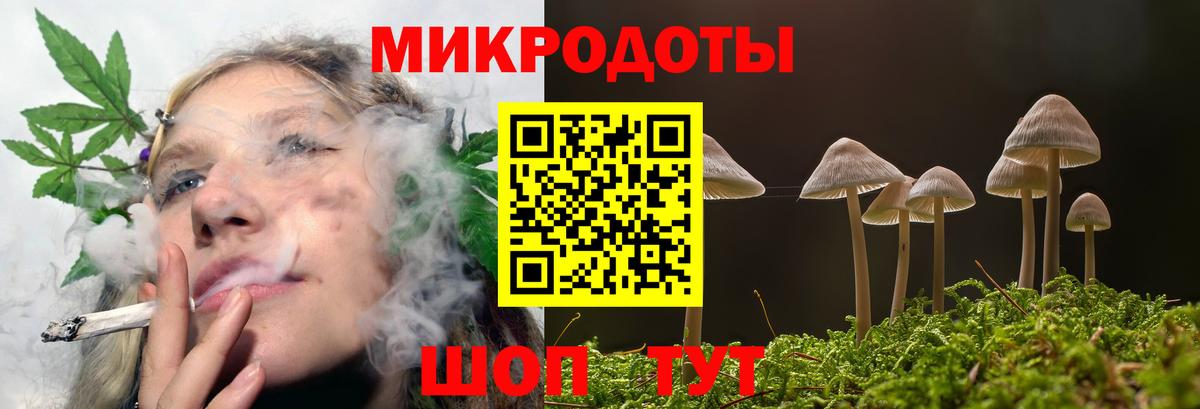 Галлюциногенные грибы Magic Shrooms Чернушка
